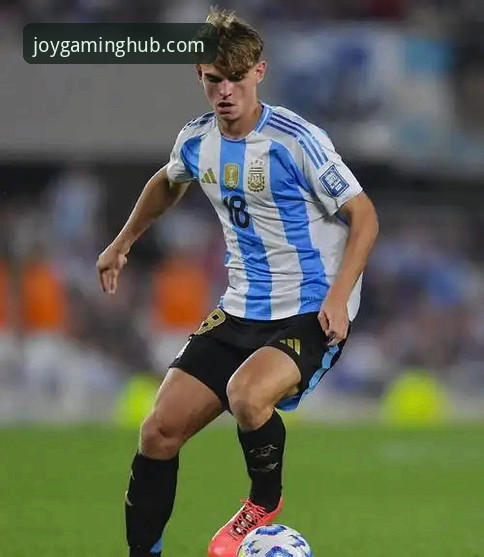 九游官方网站入口安全吗 阿根廷锋线新星重伤无缘世界杯的战术影响与平台信息获取深度解析